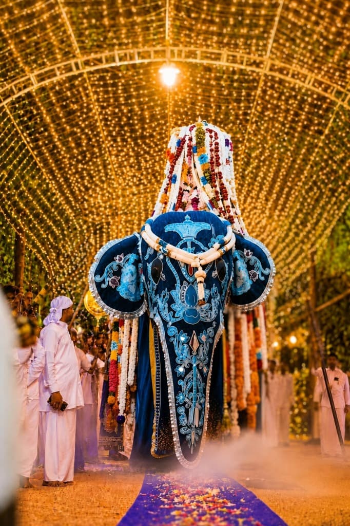 Yakkala Gajaba - Tallest Tame Elephant in Sri Lanka